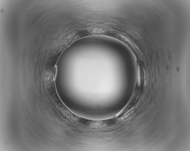 X0000059810521200510211120