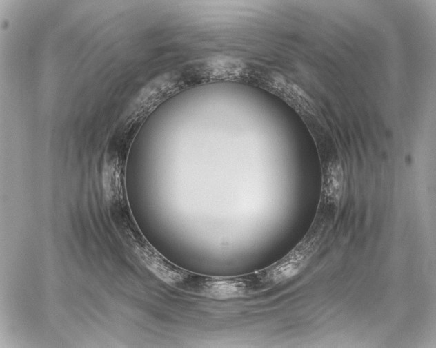 X0000059810522200510211120