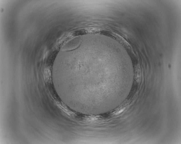 X0000059810523200510211120