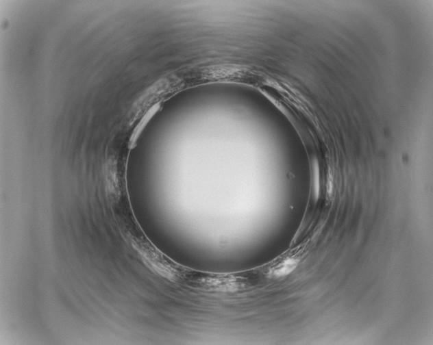 X0000059810524200510211120