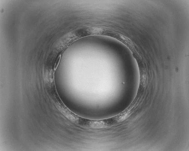 X0000059810525200510211120