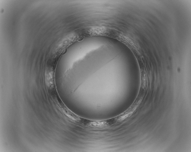 X0000059810526200510211120