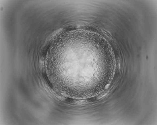 X0000059810527200510211120