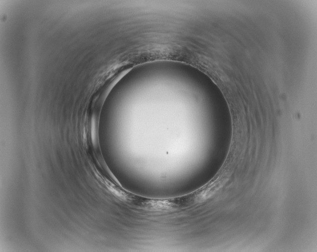 X0000059810528200510211120