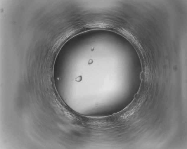 X0000059810529200510211119