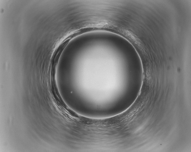 X0000059810532200510211119