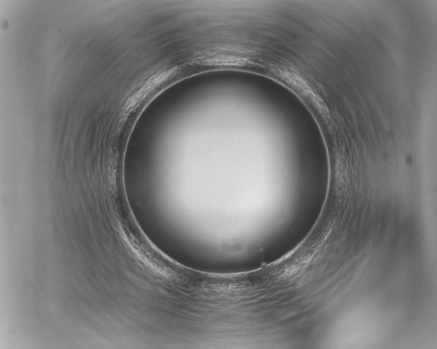 X0000059810533200510211119