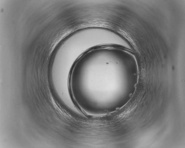 X0000059810534200510211119