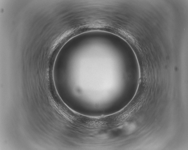 X0000059810535200510211119