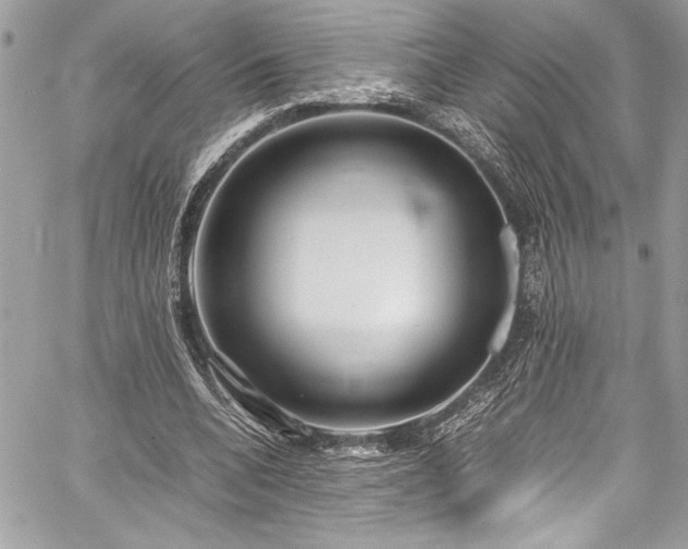 X0000059810536200510211119