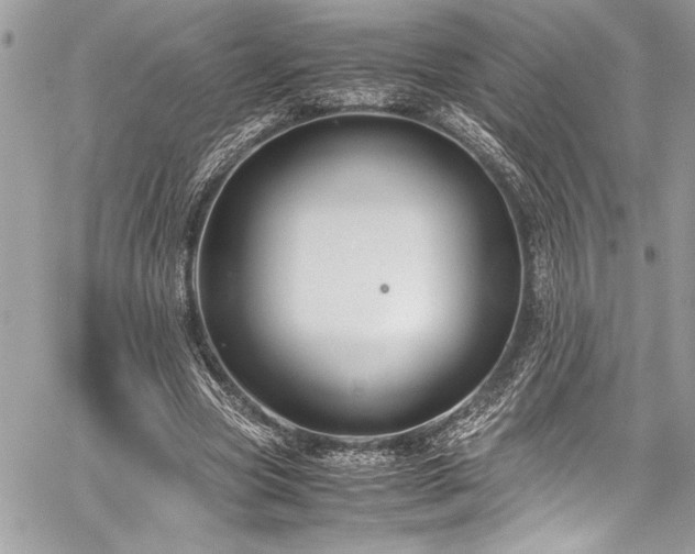 X0000059810537200510211119