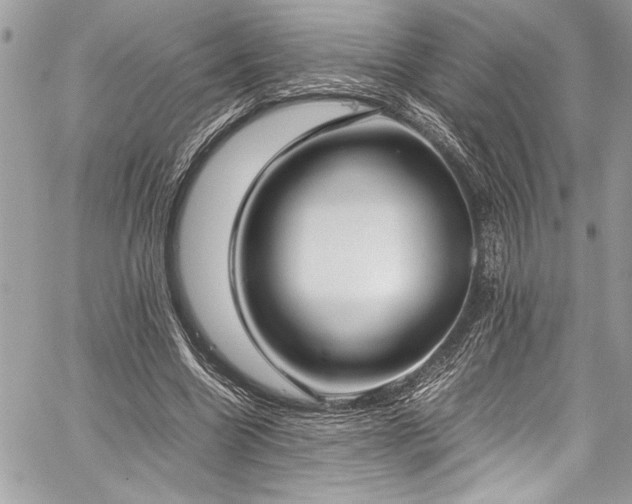 X0000059810538200510211119