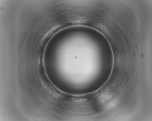 X0000059810539200510211119