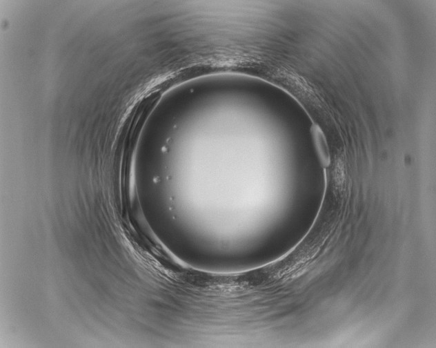 X0000059810540200510211119