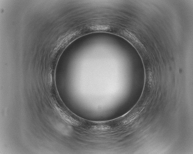 X0000059810541200510211119