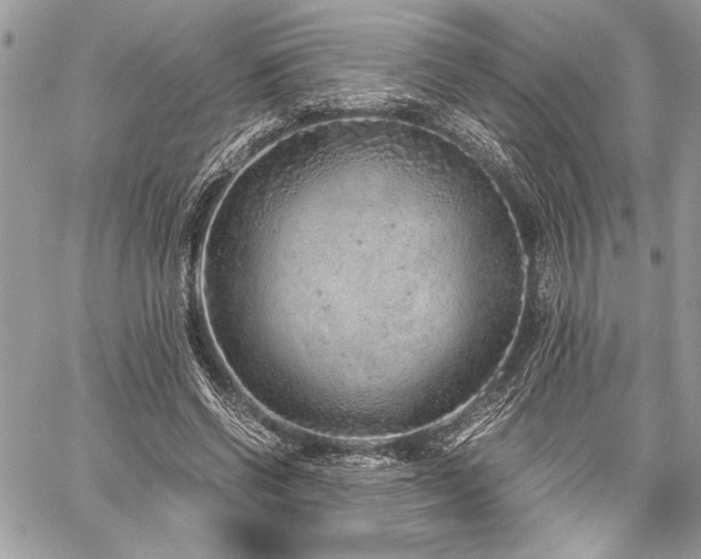 X0000059810542200510211119