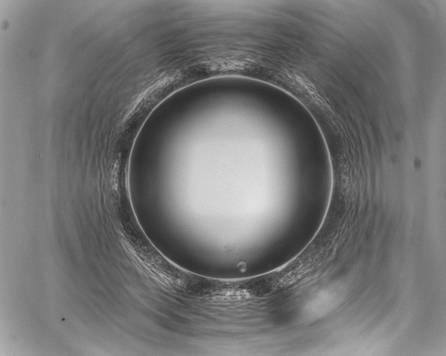 X0000059810543200510211119