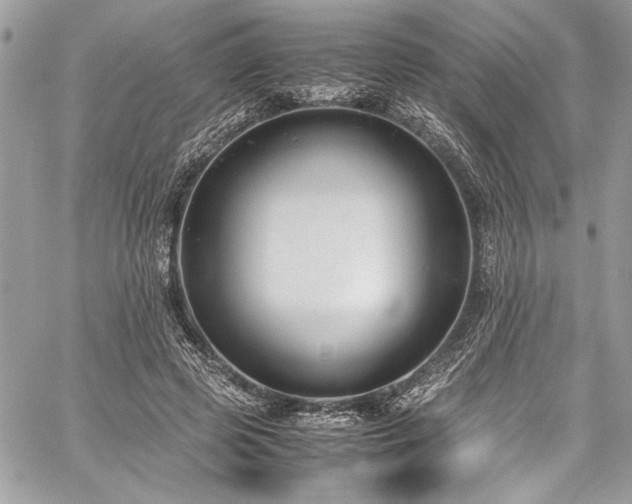 X0000059810545200510211119