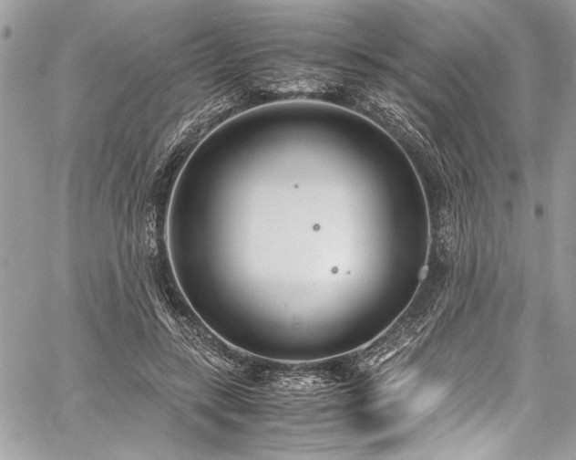 X0000059810547200510211119