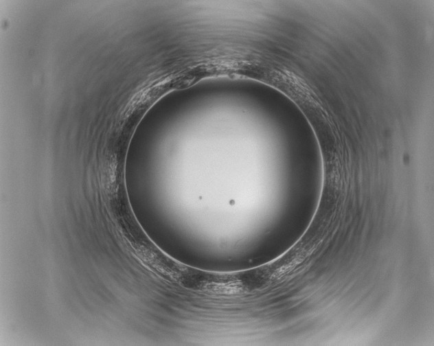 X0000059810548200510211119