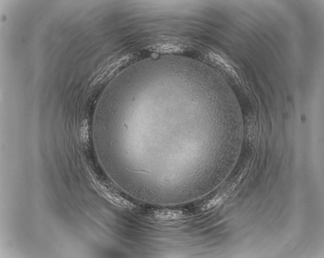 X0000059810549200510211119