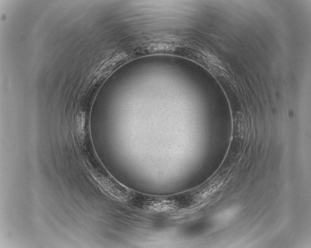 X0000059810550200510211119