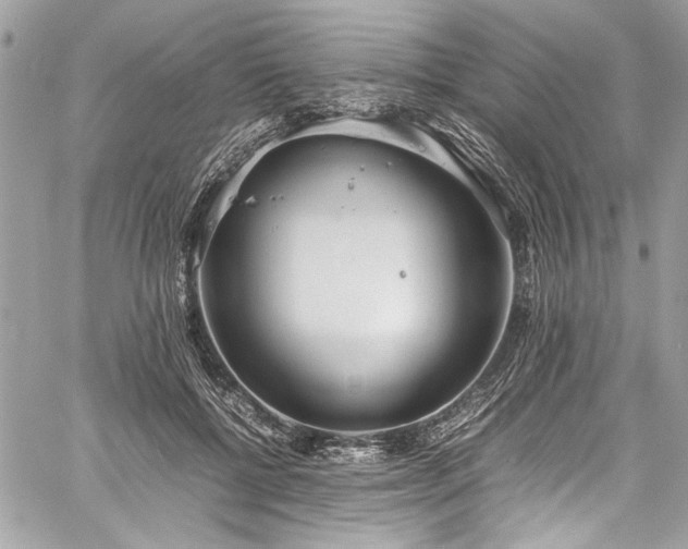 X0000059810552200510211119