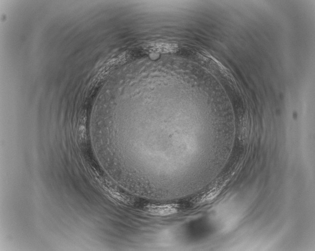 X0000059810553200510211119