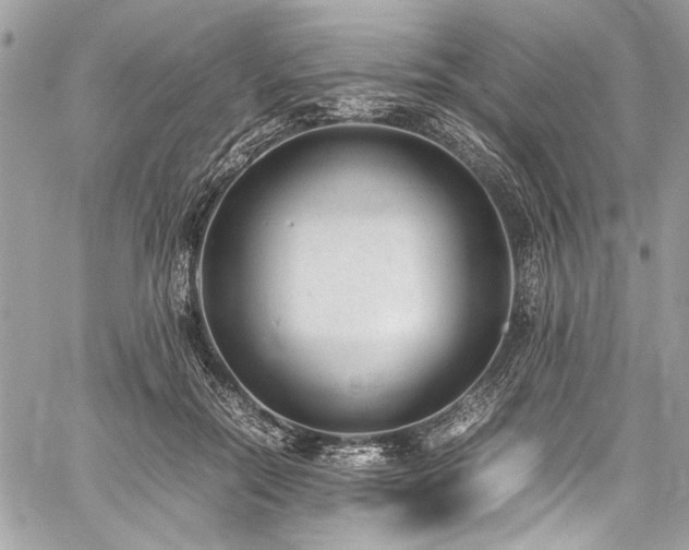 X0000059810554200510211119