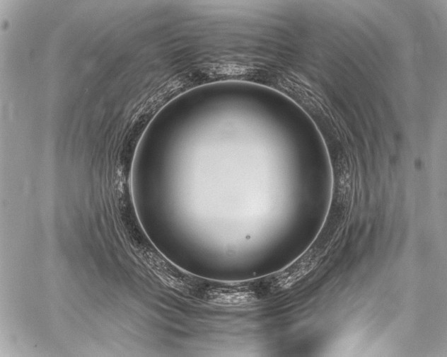 X0000059810555200510211119