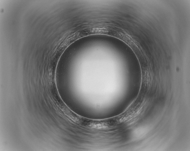 X0000059810557200510211119