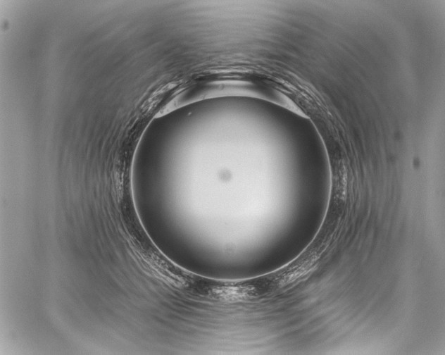 X0000059810558200510211119