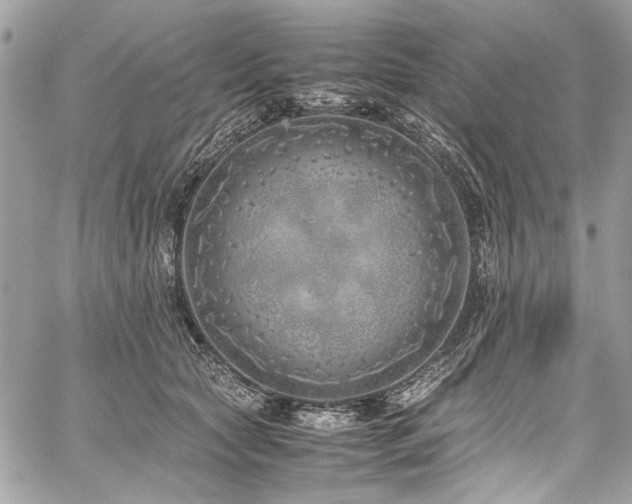 X0000059810561200510211119