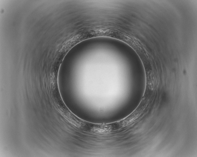 X0000059810563200510211119