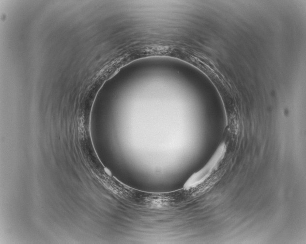 X0000059810564200510211119