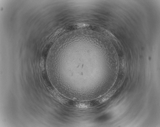 X0000059810565200510211119