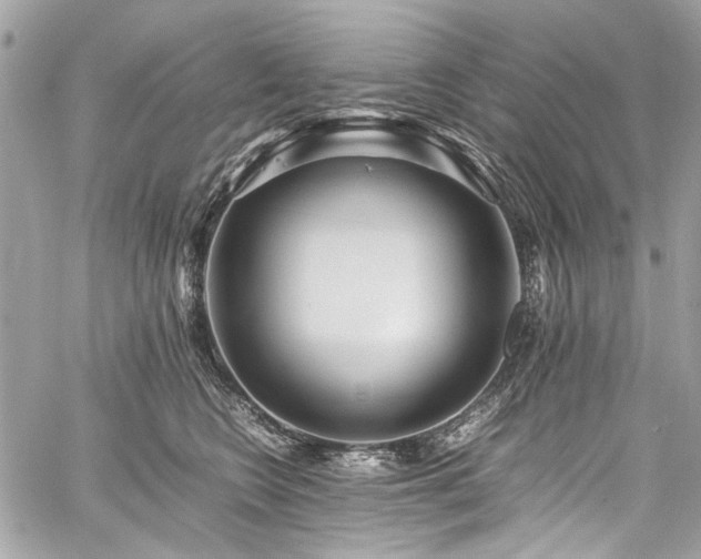 X0000059810566200510211120