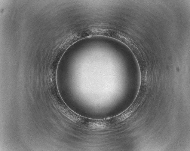 X0000059810567200510211120