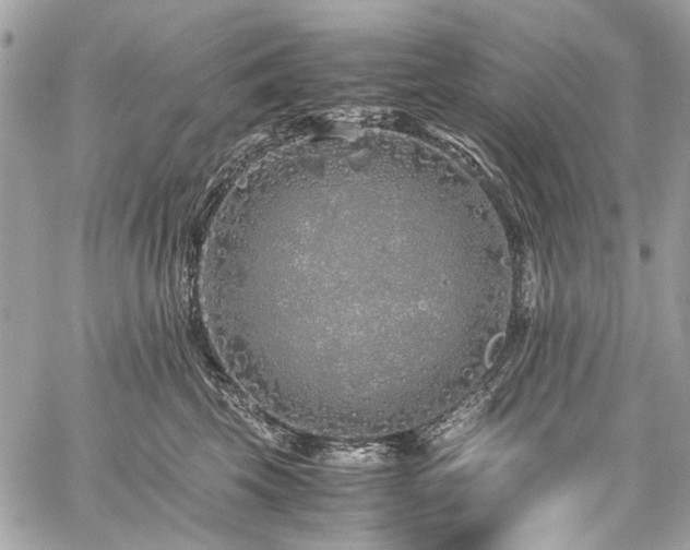 X0000059810569200510211120