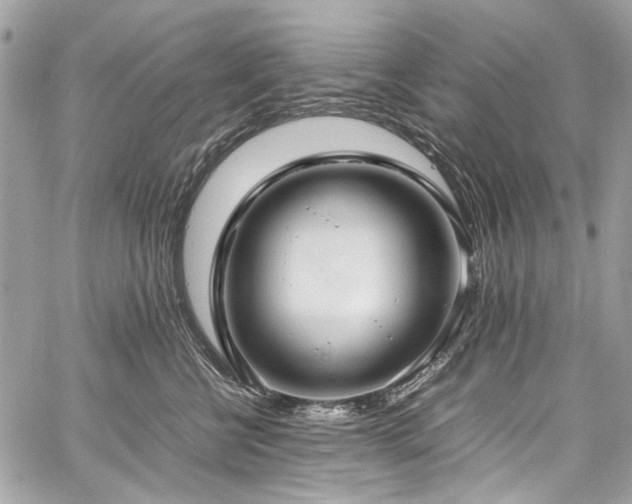 X0000059810570200510211120