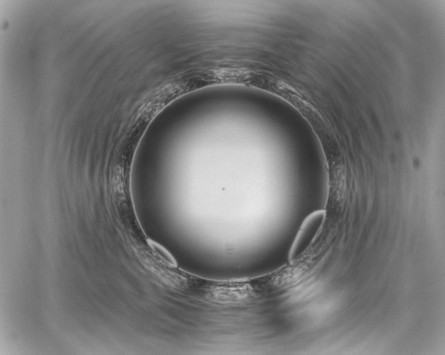 X0000059810571200510211120