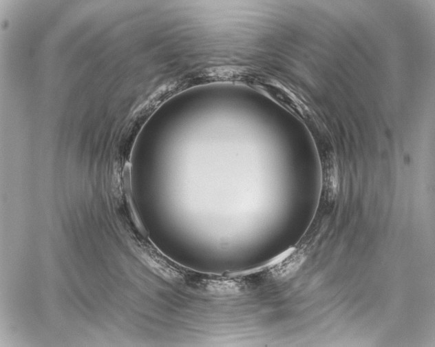 X0000059810572200510211120