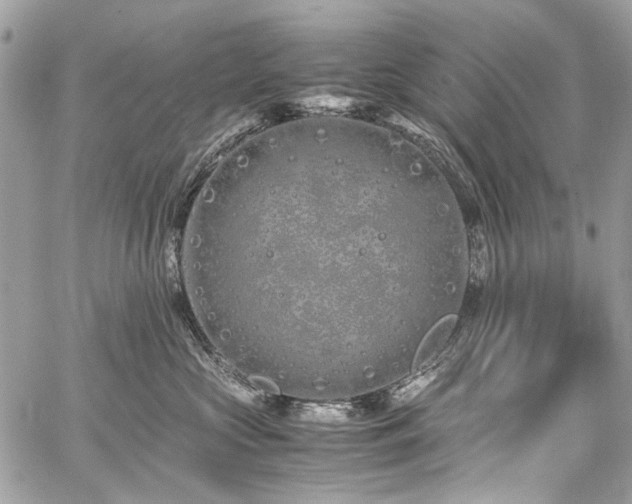 X0000059810573200510211120