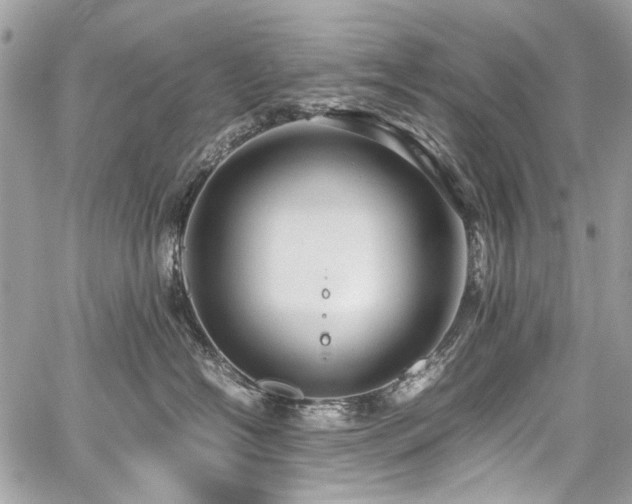 X0000059810574200510211120