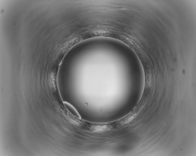 X0000059810575200510211120