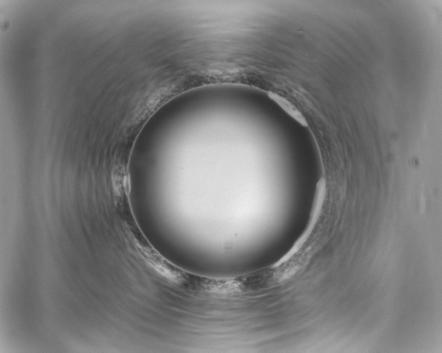 X0000059810576200510211120