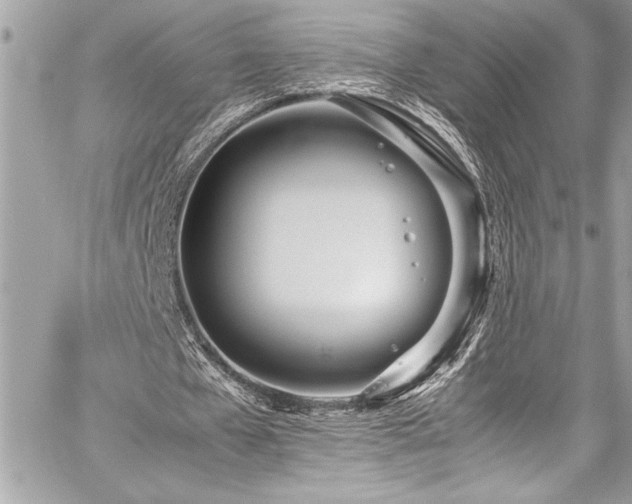 X0000059810577200510211119