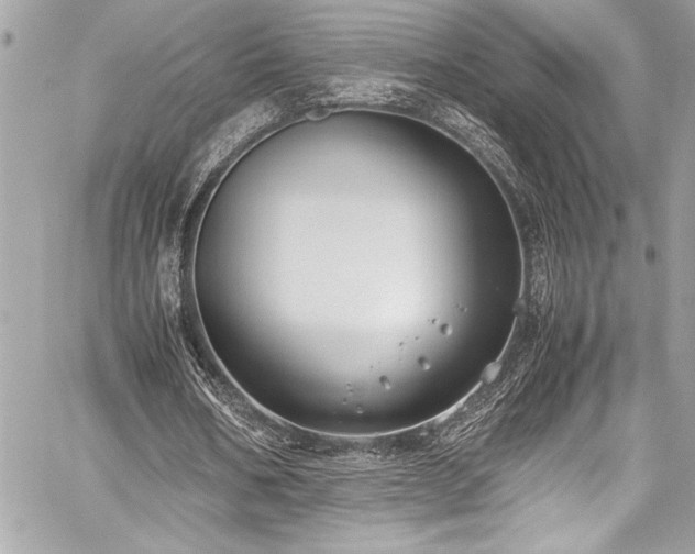 X0000059810578200510211119