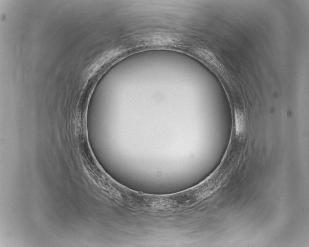 X0000059810579200510211119