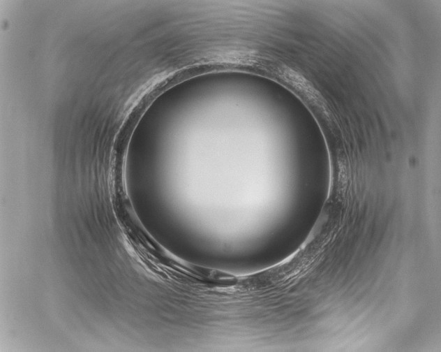 X0000059810580200510211119